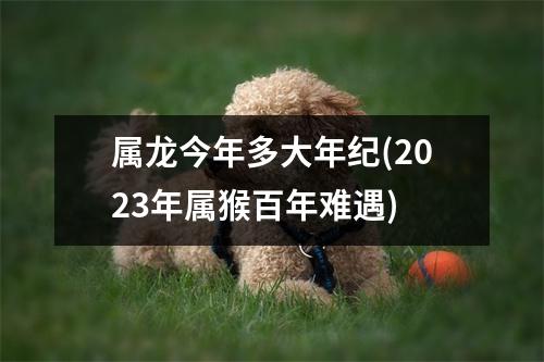 属龙今年多大年纪(2023年属猴百年难遇)