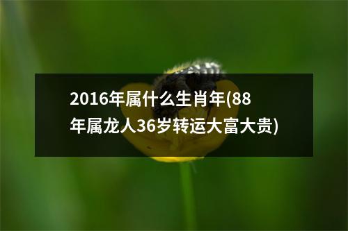 2016年属什么生肖年(88年属龙人36岁转运大富大贵)