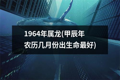 1964年属龙(甲辰年农历几月份出生命好)