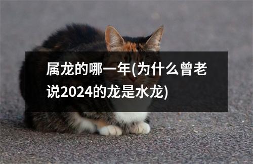 属龙的哪一年(为什么曾老说2024的龙是水龙)