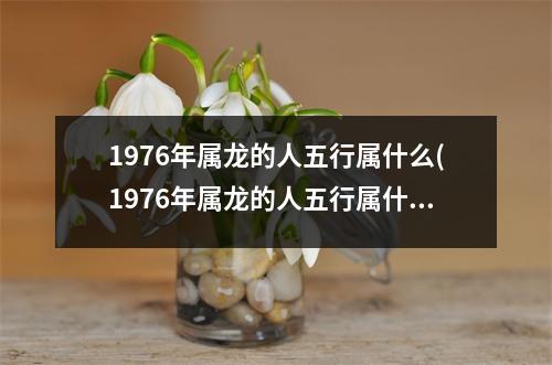 1976年属龙的人五行属什么(1976年属龙的人五行属什么属性)