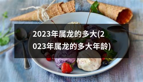 2023年属龙的多大(2023年属龙的多大年龄)