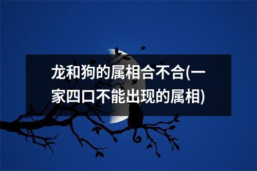 龙和狗的属相合不合(一家四口不能出现的属相)