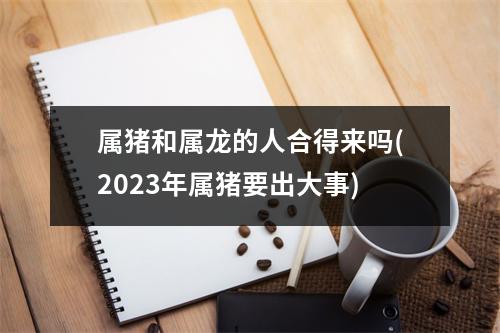 属猪和属龙的人合得来吗(2023年属猪要出大事)