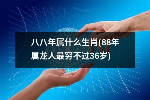 八八年属什么生肖(88年属龙人穷不过36岁)