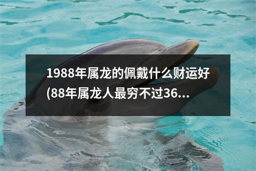 1988年属龙的佩戴什么财运好(88年属龙人穷不过36岁)