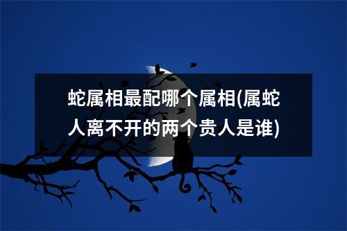 蛇属相配哪个属相(属蛇人离不开的两个贵人是谁)