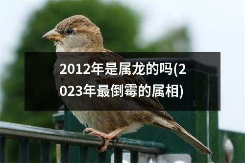 2012年是属龙的吗(2023年倒霉的属相)