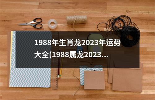 1988年生肖龙2023年运势大全(1988属龙2023年运势及运程)