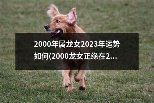 2000年属龙女2023年运势如何(2000龙女正缘在2023年几月)