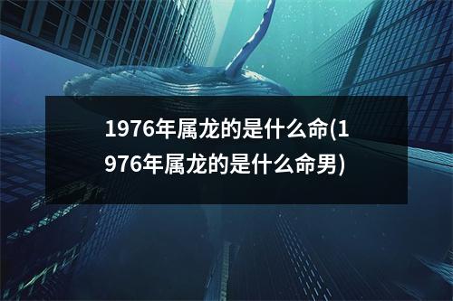 1976年属龙的是什么命(1976年属龙的是什么命男)