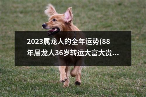 2023属龙人的全年运势(88年属龙人36岁转运大富大贵)