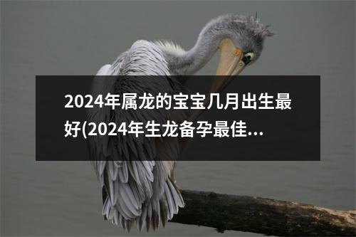 2024年属龙的宝宝几月出生好(2024年生龙备孕佳时间表农历)