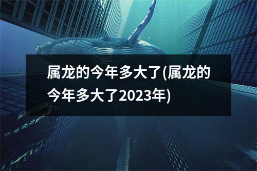 属龙的今年多大了(属龙的今年多大了2023年)