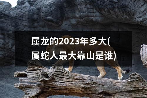 属龙的2023年多大(属蛇人大靠山是谁)