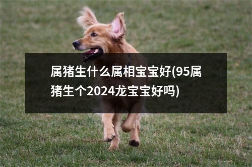 属猪生什么属相宝宝好(95属猪生个2024龙宝宝好吗)