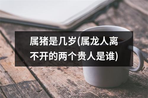 属猪是几岁(属龙人离不开的两个贵人是谁)