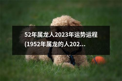 52年属龙人2023年运势运程(1952年属龙的人2023年健康)