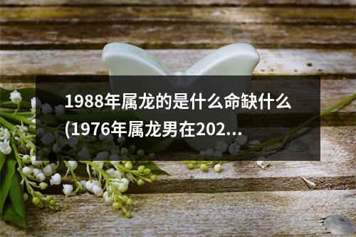 1988年属龙的是什么命缺什么(1976年属龙男在2023年运程和运势)