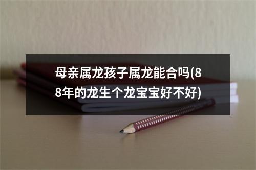 母亲属龙孩子属龙能合吗(88年的龙生个龙宝宝好不好)