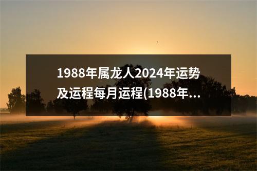 1988年属龙人2024年运势及运程每月运程(1988年属龙人2024年运势及运程详解)