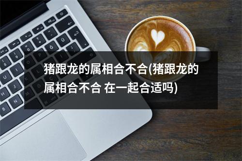 猪跟龙的属相合不合(猪跟龙的属相合不合 在一起合适吗)