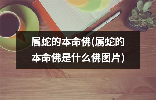 属蛇的本命佛(属蛇的本命佛是什么佛图片)