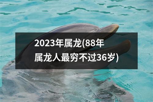 2023年属龙(88年属龙人穷不过36岁)