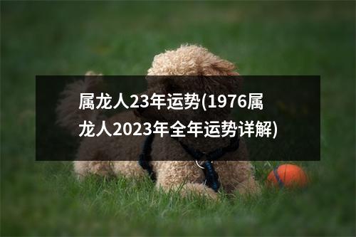 属龙人23年运势(1976属龙人2023年全年运势详解)