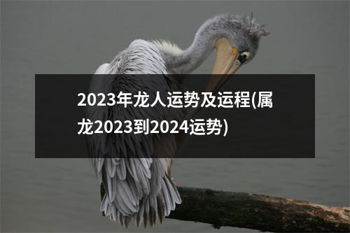 2023年龙人运势及运程(属龙2023到2024运势)