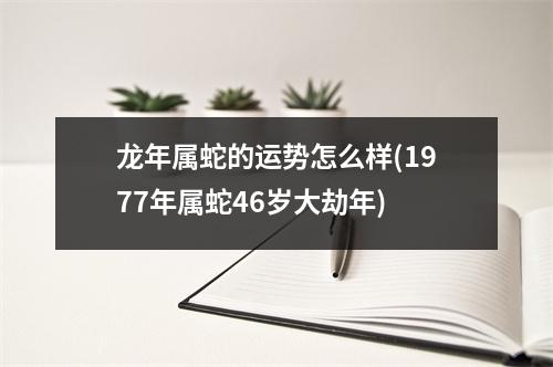 龙年属蛇的运势怎么样(1977年属蛇46岁大劫年)