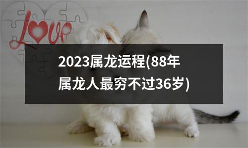 2023属龙运程(88年属龙人穷不过36岁)