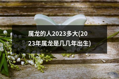 属龙的人2023多大(2023年属龙是几几年出生)