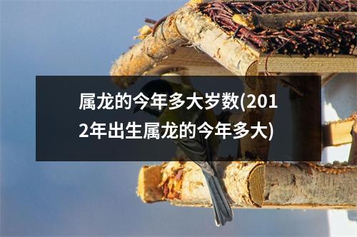 属龙的今年多大岁数(2012年出生属龙的今年多大)