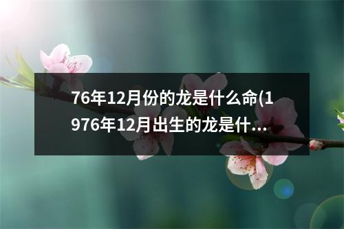 76年12月份的龙是什么命(1976年12月出生的龙是什么龙)