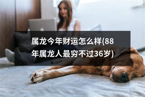 属龙今年财运怎么样(88年属龙人穷不过36岁)