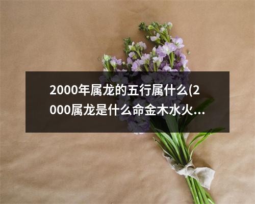 2000年属龙的五行属什么(2000属龙是什么命金木水火)