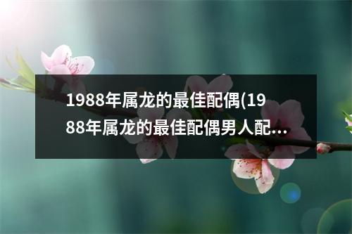 1988年属龙的佳配偶(1988年属龙的佳配偶男人配什么样的女人)