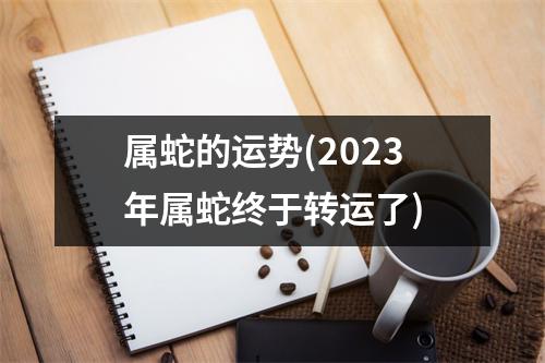 属蛇的运势(2023年属蛇终于转运了)