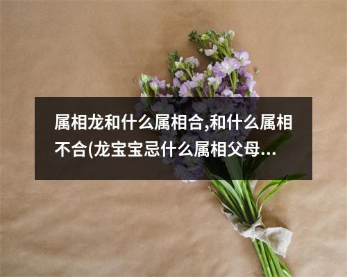 属相龙和什么属相合,和什么属相不合(龙宝宝忌什么属相父母)