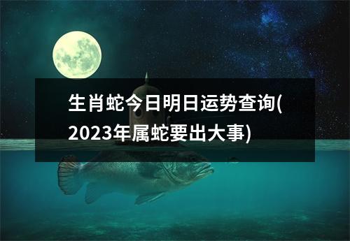 生肖蛇今日明日运势查询(2023年属蛇要出大事)