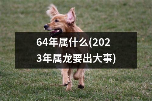 64年属什么(2023年属龙要出大事)