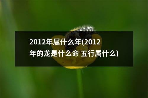 2012年属什么年(2012年的龙是什么命 五行属什么)