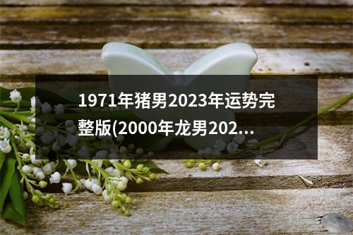 1971年猪男2023年运势完整版(2000年龙男2023年运势及运程)