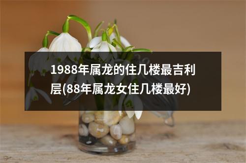 1988年属龙的住几楼吉利层(88年属龙女住几楼好)