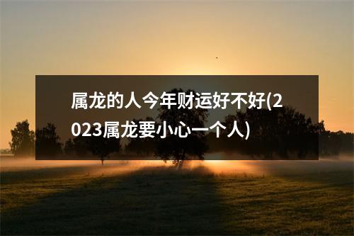 属龙的人今年财运好不好(2023属龙要小心一个人)