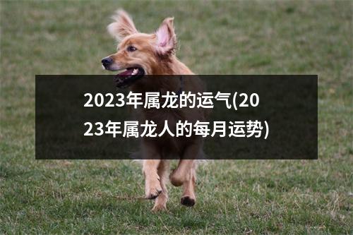 2023年属龙的运气(2023年属龙人的每月运势)