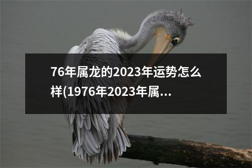 76年属龙的2023年运势怎么样(1976年2023年属龙人是什么命)