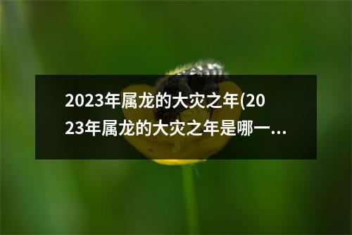 2023年属龙的大灾之年(2023年属龙的大灾之年是哪一年)