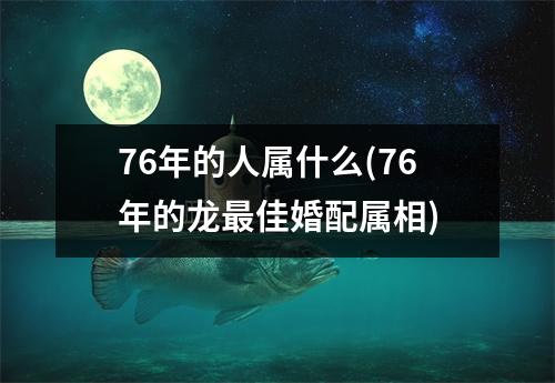 76年的人属什么(76年的龙佳婚配属相)